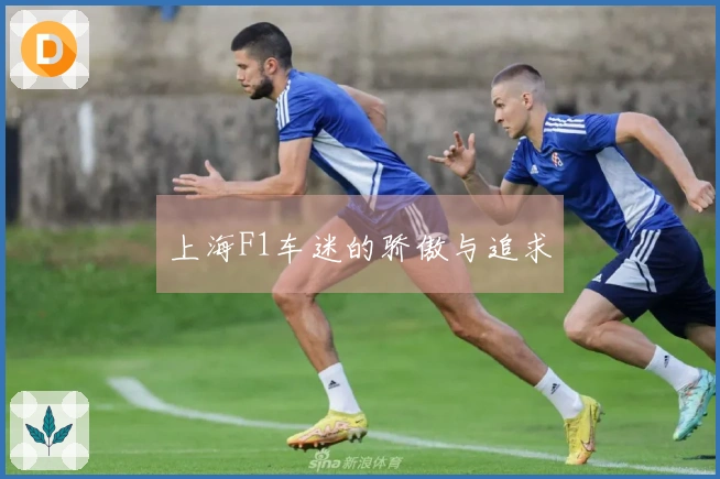 上海F1车迷的骄傲与追求